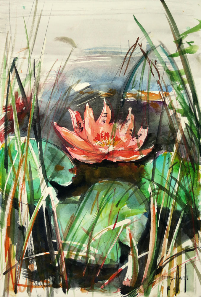 8036 | Gemälde | Aquarell | Teichrose | Atelier Markus Uebelhart | Seerose